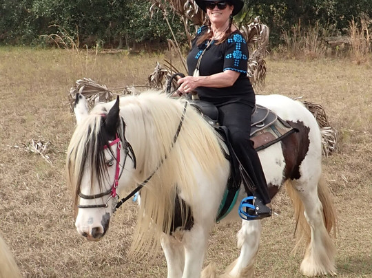 C Ponies Beach Horseback Rides-布雷登顿必去景点