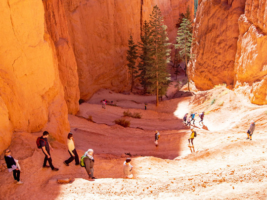 纳瓦霍小径-布莱斯峡谷国家公园必去景点