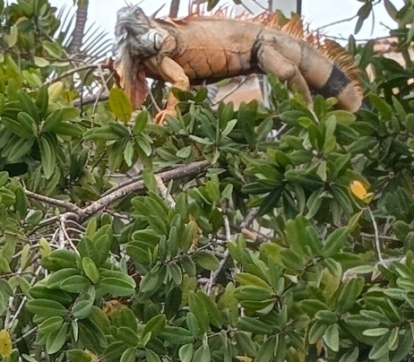 Ocean Friendly Whale Watching Tours-瓦拉塔港必去景点