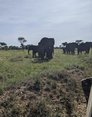 Ongeri Expeditions-Luxury Safaris-Karen必去景点