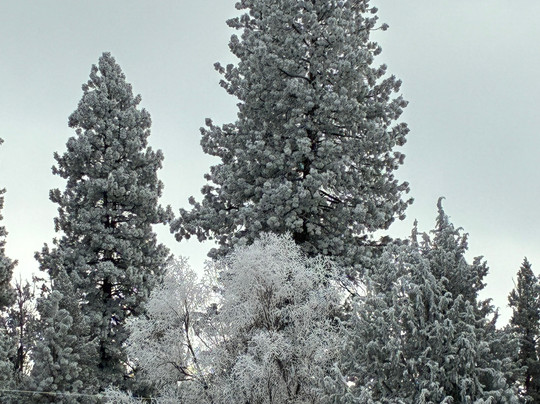 La Quinta Inn by Wyndham Bend主图