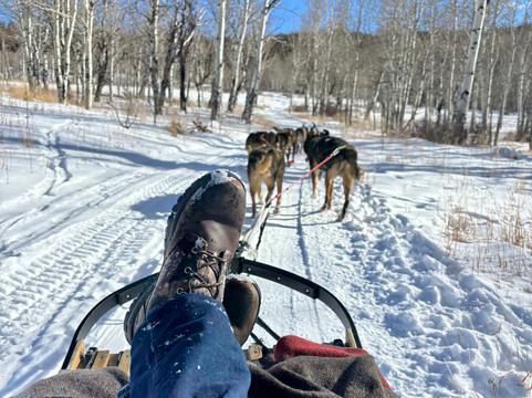 Mountain Musher-Bond必去景点