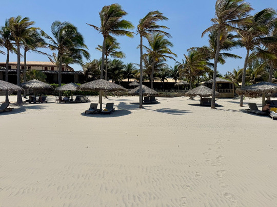 Hotel Vila Selvagem主图