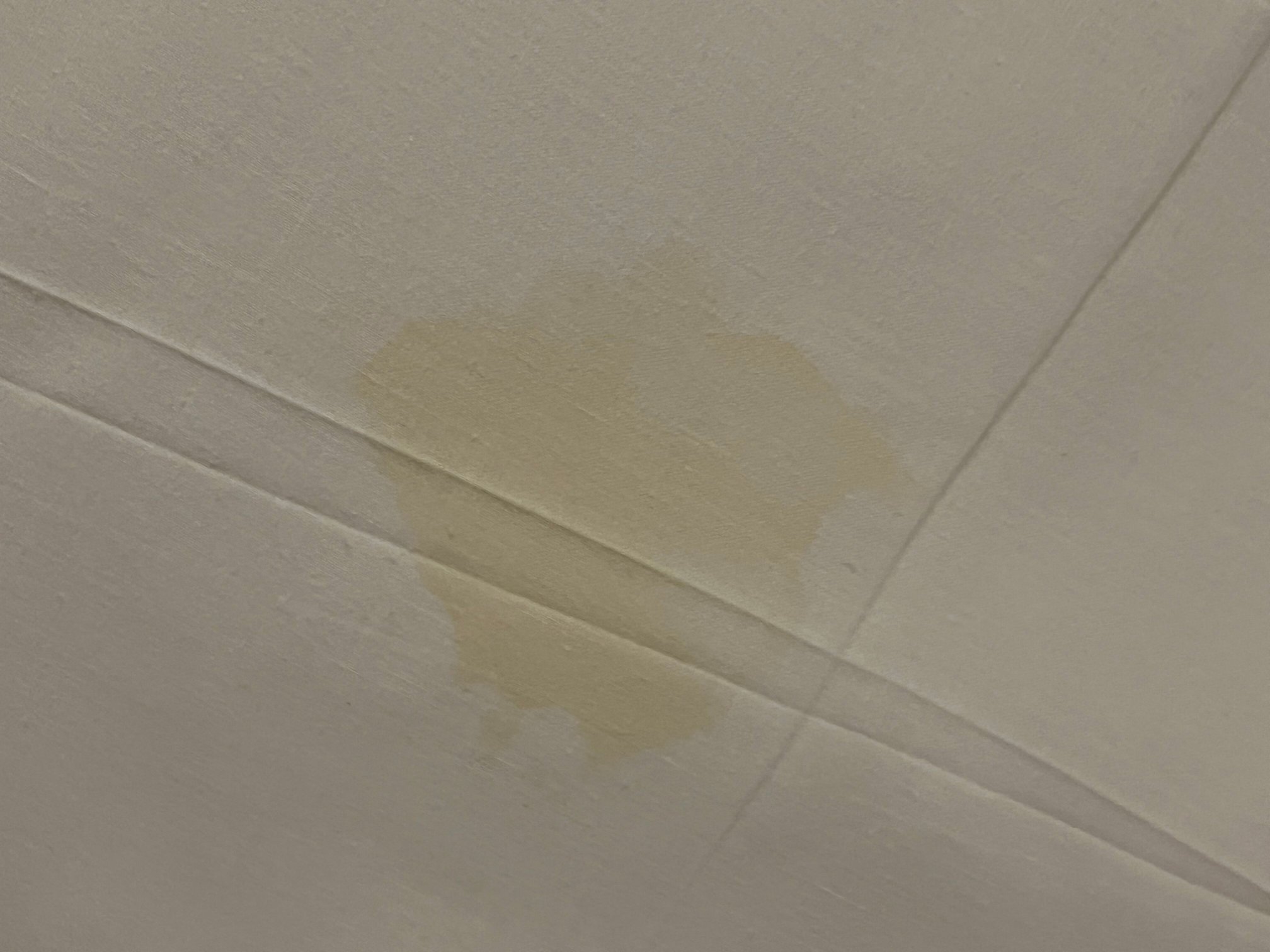 TUI BLUE Flamingo Beach-官方