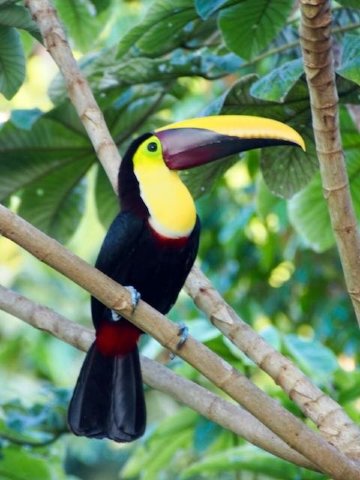 Tulemar-酒店景观