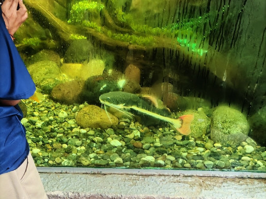 BioParque Yanacocha-Puyo必去景点