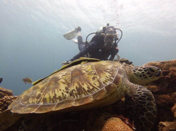 阿蒙燕丽海滩度假村-官方