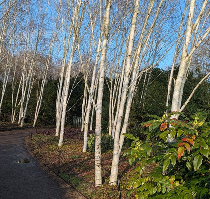安格尔西修道院-Lode必去景点