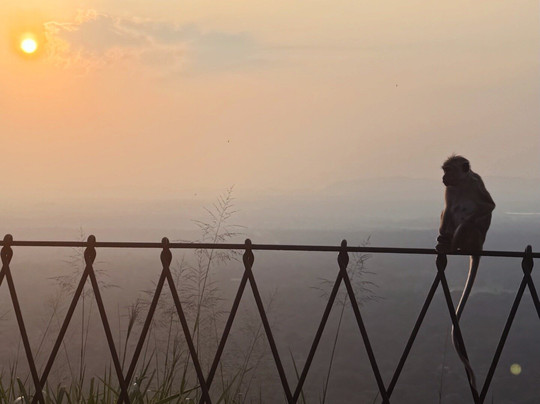 Wetour Sri Lanka-Kekirawa必去景点