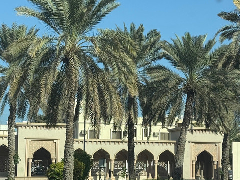 7 Dunes Tours-Al Wasil必去景点