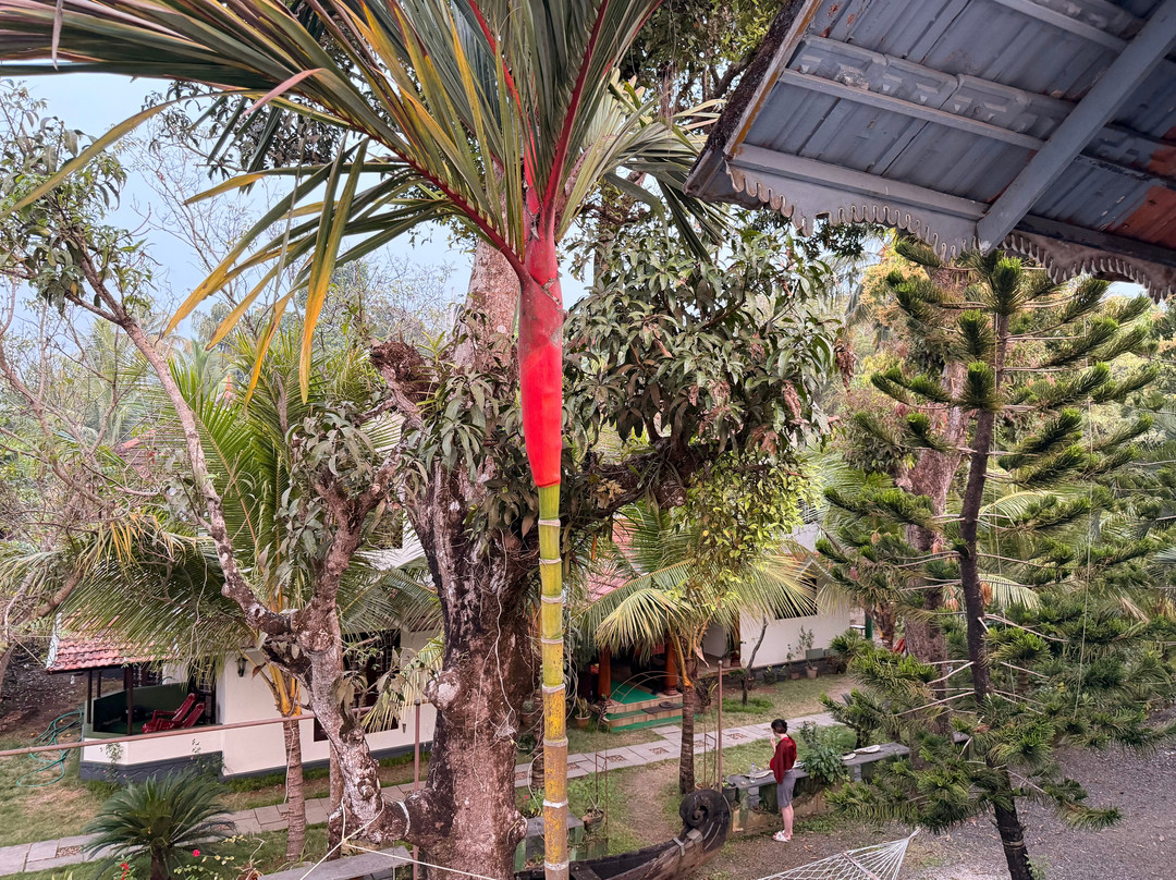 Green Palm Homes主图