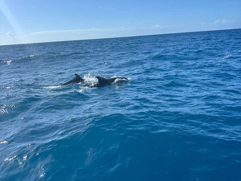 Parque Nacional Marinho dos Abrolhos-Caravelas必去景点