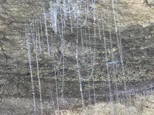 Underworld Adventures Ltd-Charleston必去景点