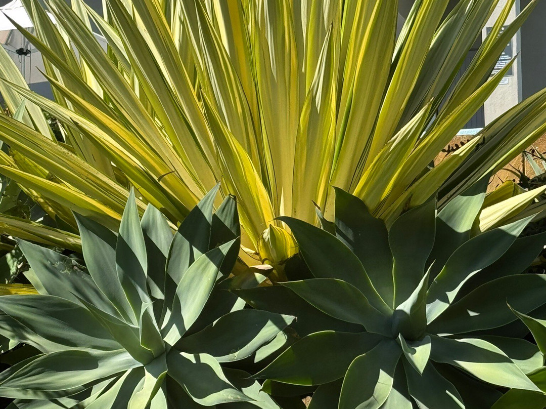 Ocean View Guest House主图