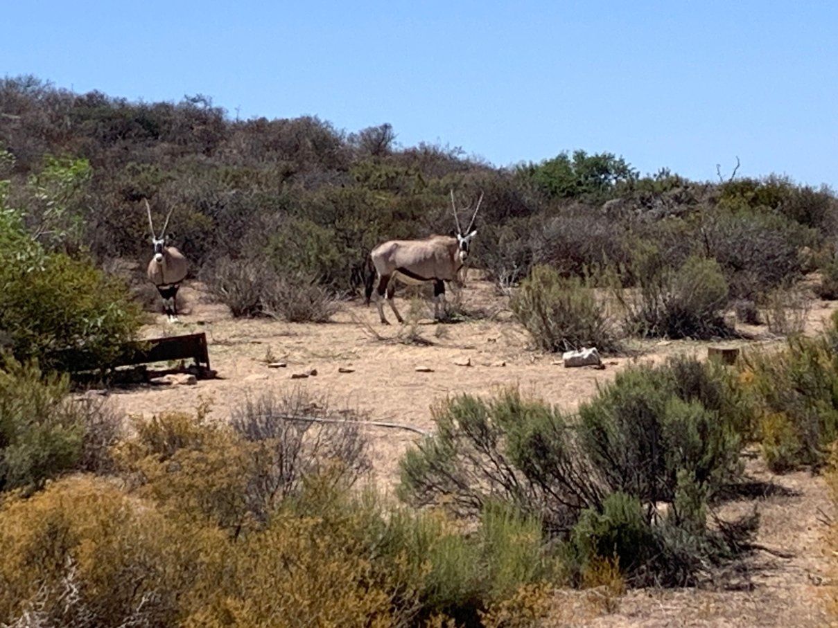 Naries Namakwa Retreat-官方