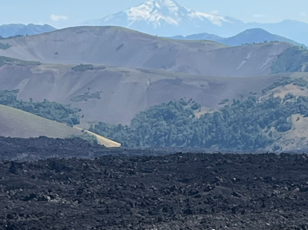 Reserva Nacional Malalcahuello - Nalcas-Malalcahuello必去景点