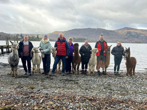 Alpacaly Ever After-Portinscale必去景点