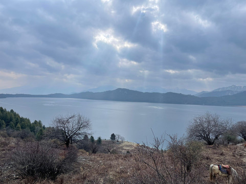 Rara Lake-Rara National Park必去景点