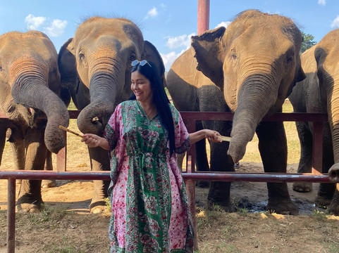 Chokchai Elephant Camp