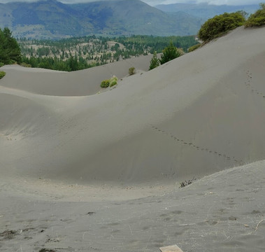 Desierto De Palmira-Chimborazo Province必去景点