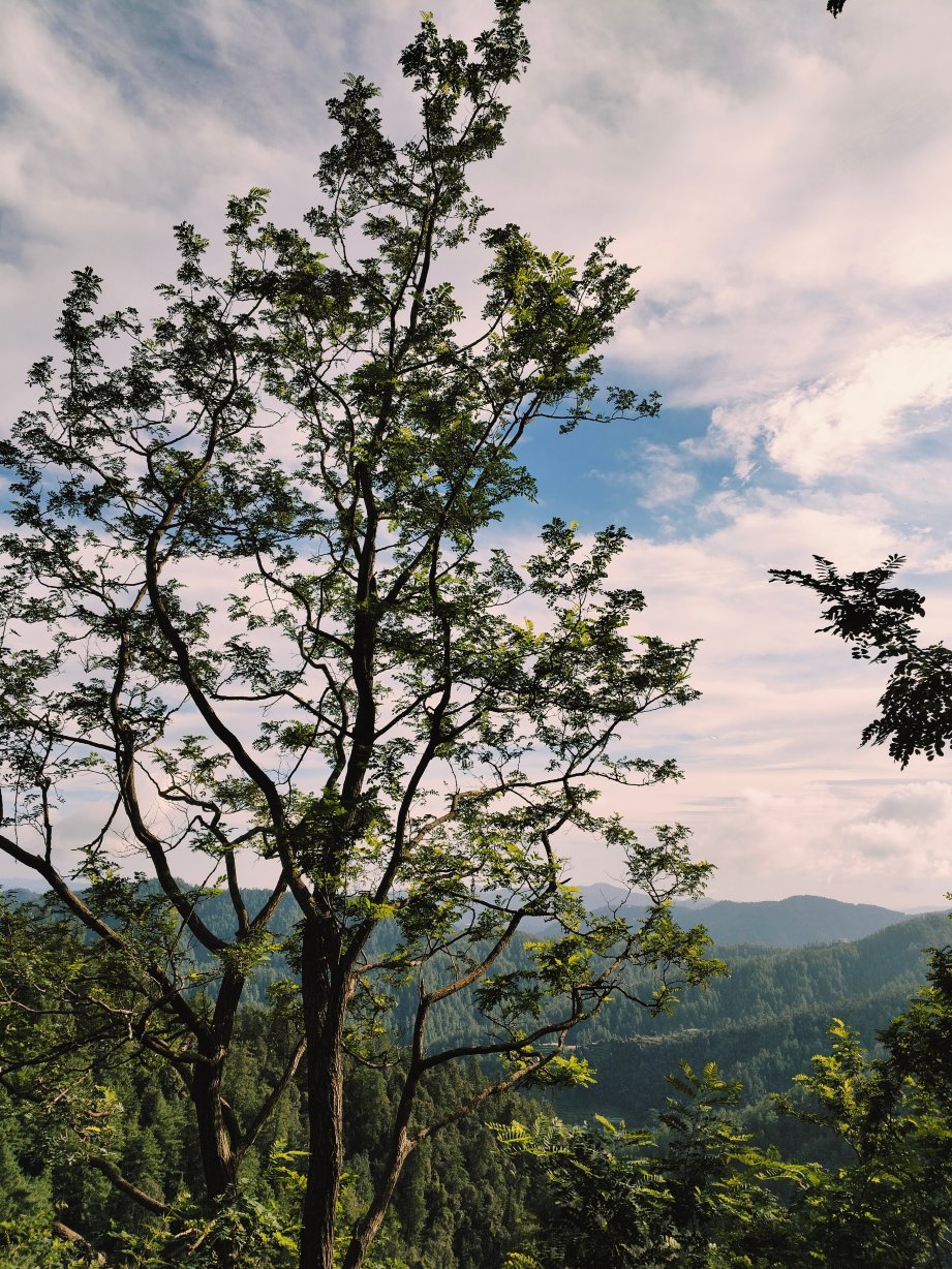 托赛景酒店-酒店景观