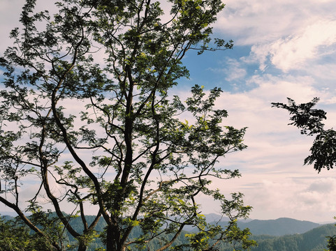 托赛景酒店主图