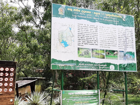 Tuktukdude Leisure-马塔拉必去景点