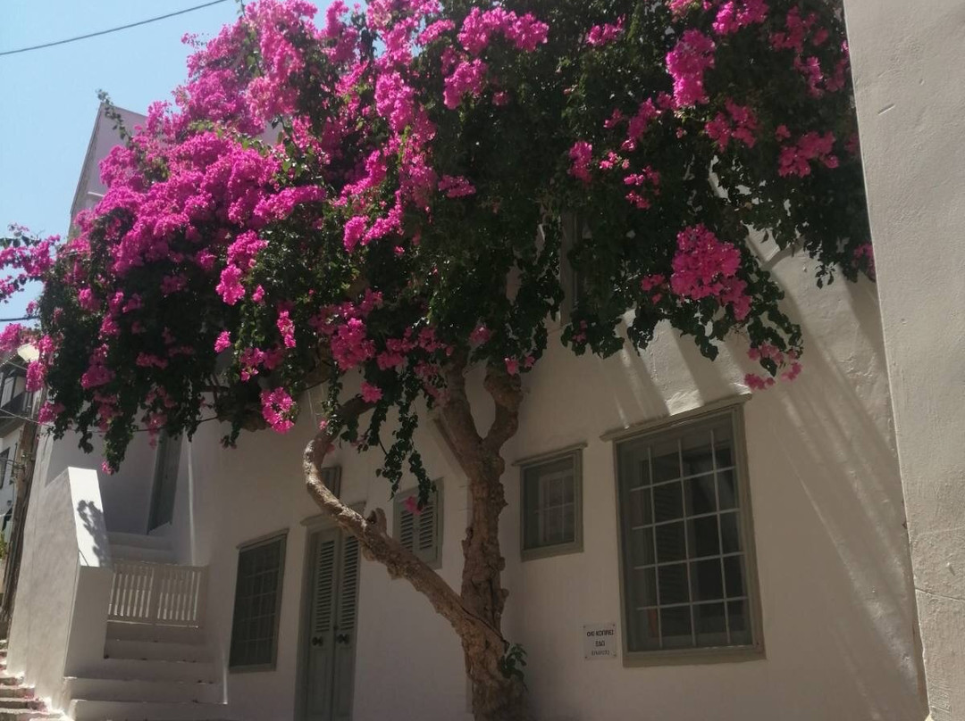 Hydra Sightseeing-雅典必去景点