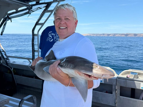 Emu Bay Fishing Charters-Emu Bay必去景点