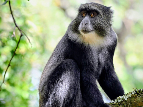 Base Camp Tanzania-阿鲁沙必去景点