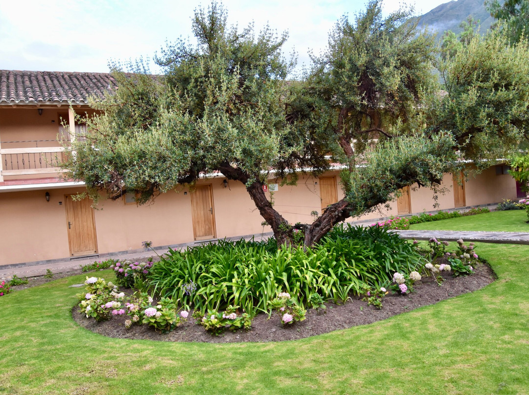 卡索纳萨格拉多酒店主图