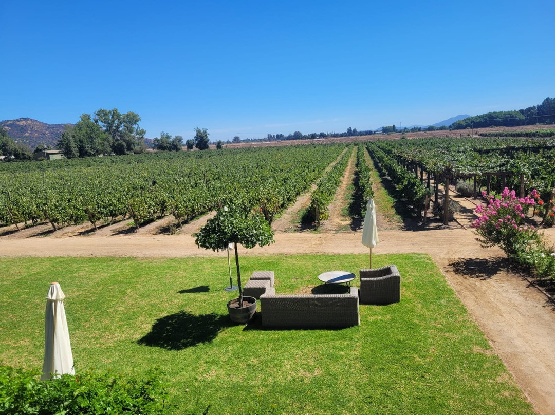 MontGras-Palmilla必去景点