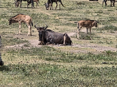 Ngurdoto Crater-阿鲁沙必去景点