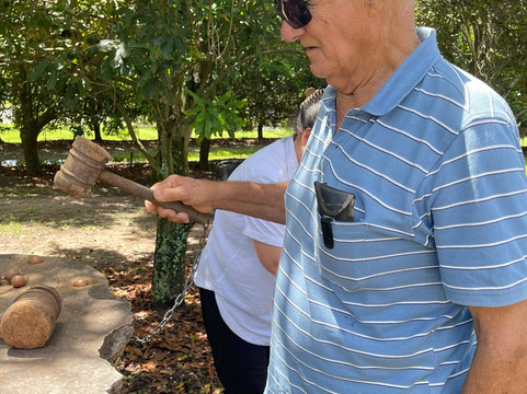 Macadamias Australia-邦德堡必去景点