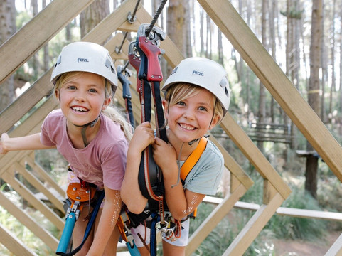 Tree Adventures-伍德山必去景点