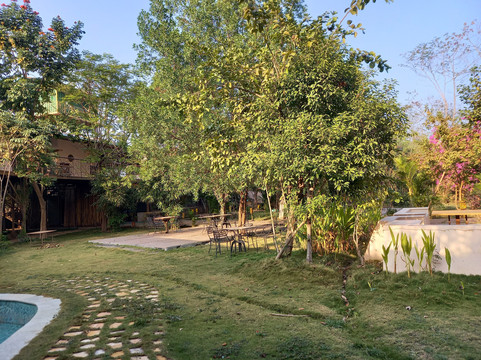 Tadoba Jungle Camp - Jungle Camps India主图