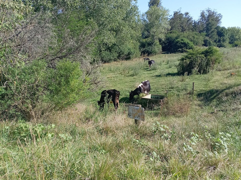 Parque de Minas - Hotel Vacacional主图