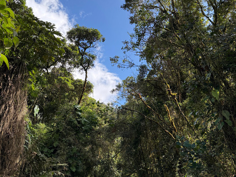 Paramo Trek Salento-萨伦托必去景点