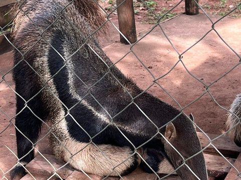 Bio Park-博尼图必去景点