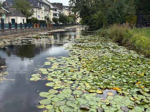 Poppelsdorf Palace-波恩必去景点