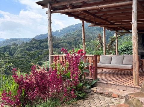 Gorilla and Adventure Safaris-Wakiso必去景点