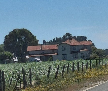 Plaza de Armas-Puerto Octay必去景点