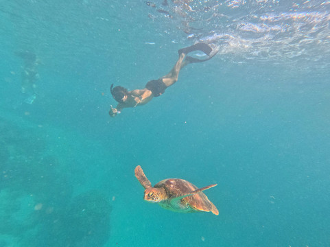 Kali & Kato's Rarotonga Turtle Tours-Takitumu District必去景点