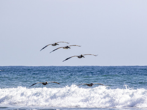 Hacienda Baru Lodge-主日镇必去景点