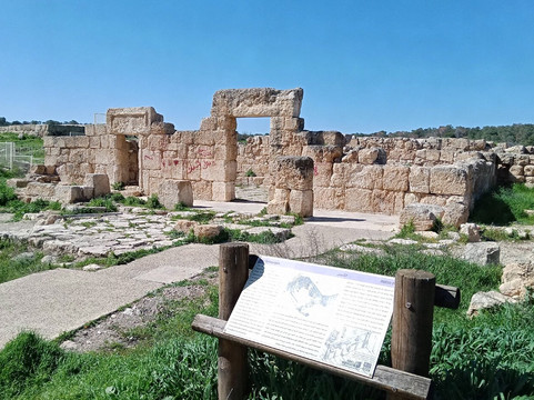 Yatir Forest-Arad必去景点