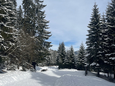 Lake Morskie Oko-Tatra National Park必去景点