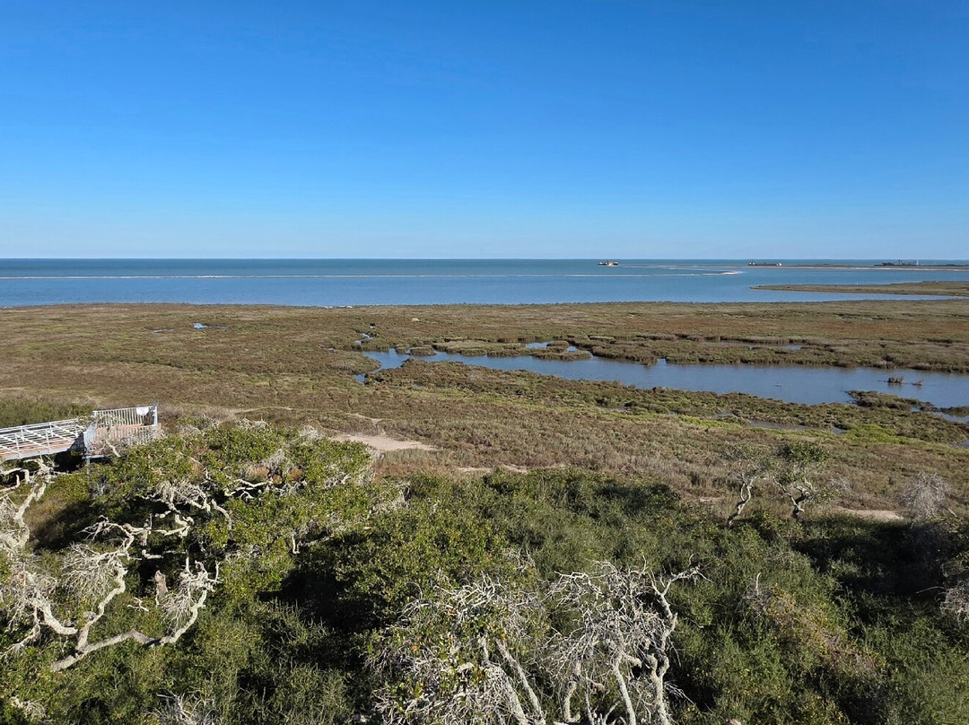 Aransas National Wildlife Refuge-Austwell必去景点
