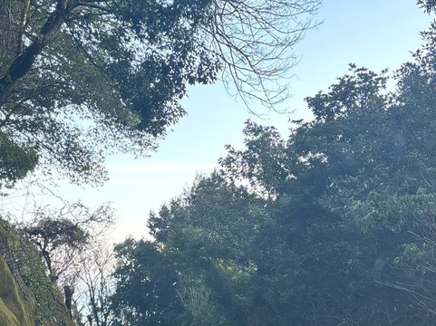 Kuratake Shrine-天草市必去景点
