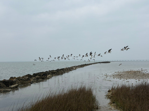 Goose Island State Park-罗克波特必去景点