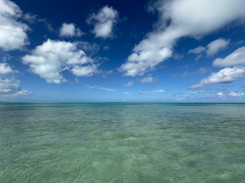 Unique Tours and Rentals-普罗维登西亚莱斯必去景点